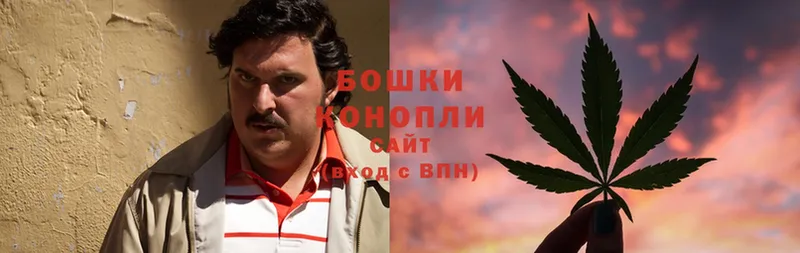 Конопля Ganja  Чкаловск 